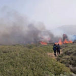 Πυρκαγιά σε δασική έκταση στο Αμπελικό του δήμου Λέσβου